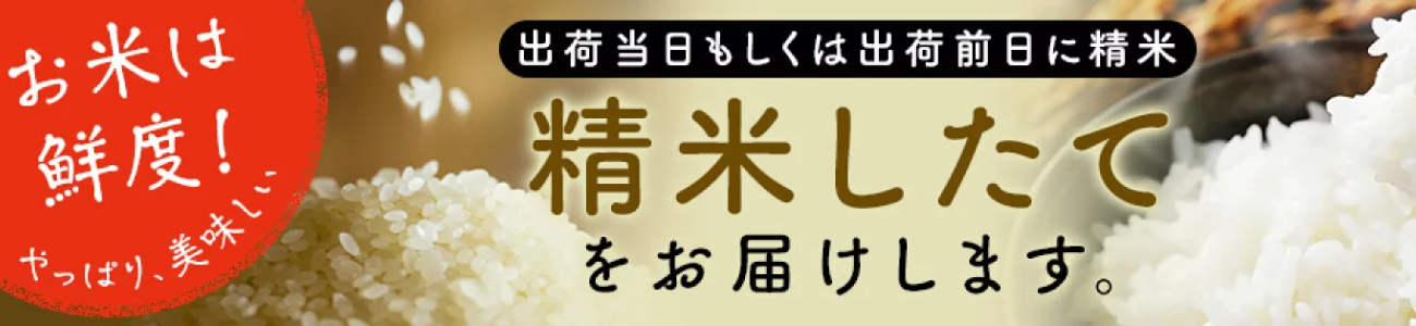 精米したてバナー.png