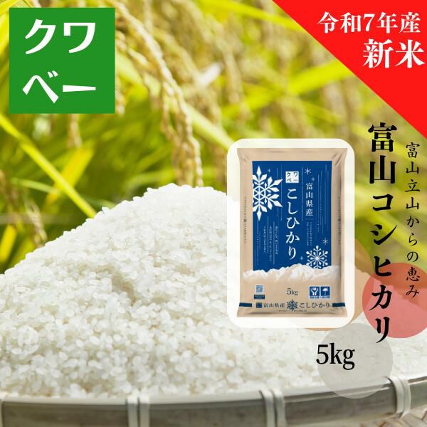 富山県産 令和6年 白米 20 キロ 富山県産 令和6年 白米 20 キロ 富山県産 令和6年 白米 20 キロ 令和6